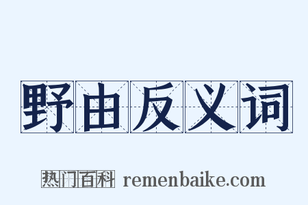 野由反义词是什么意思的图片